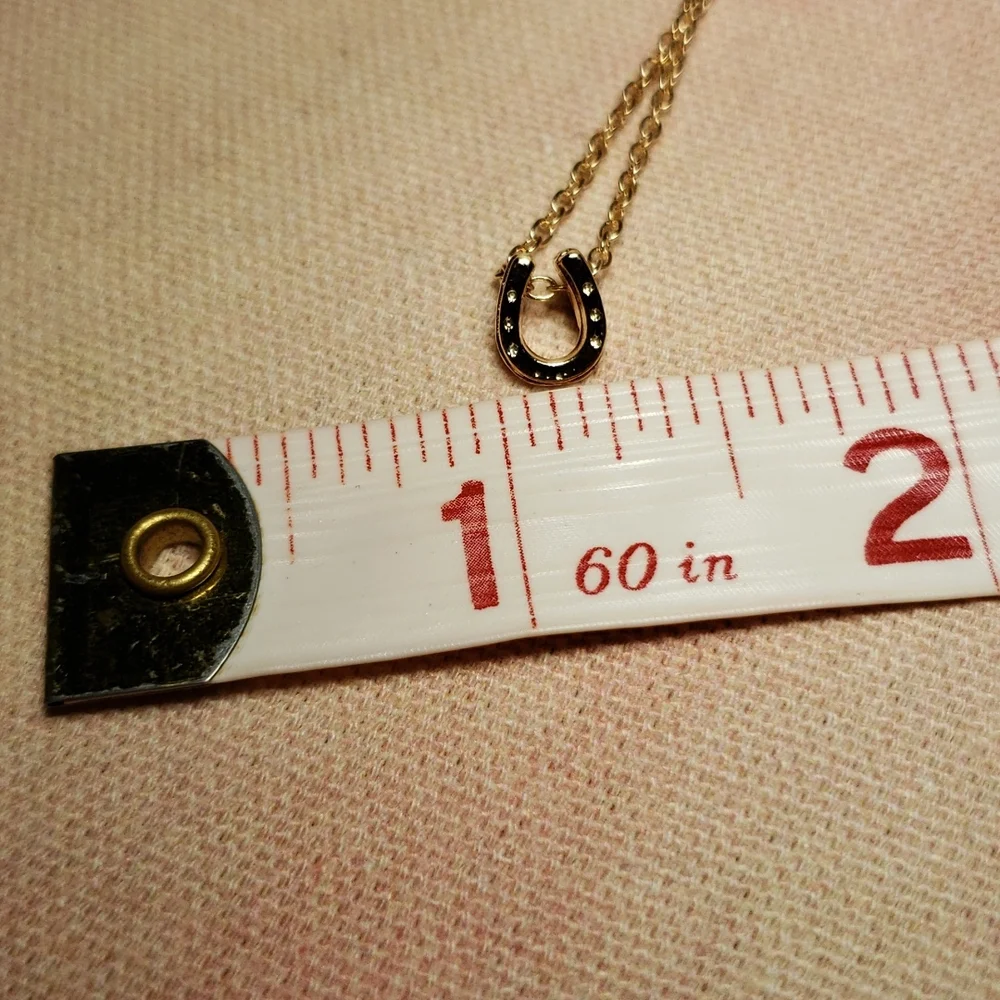 Lucky Horseshoe Necklace Horse Cowgirl Western Country Vaquera Dainty Minimalist - Picture 11 of 13